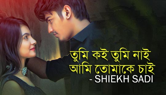 Tumi Koi Lyrics (তুমি কই) Shiekh Sadi Bangla Song